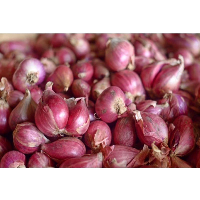 

bawang merah 250 gr