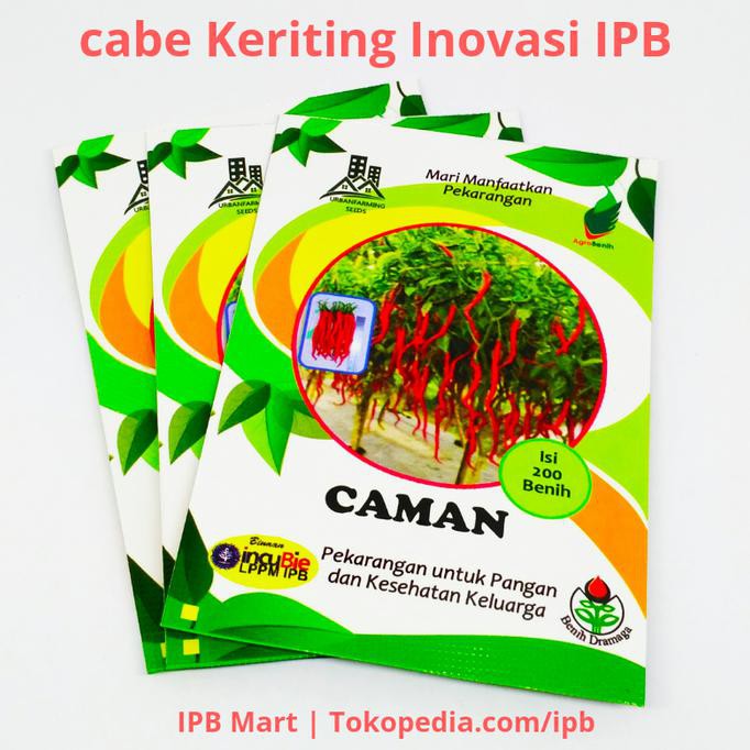 Urban Farming Benih sayur-sayuran Cabe Cabai Keriting Inovasi IPB ITURUN HARGAl