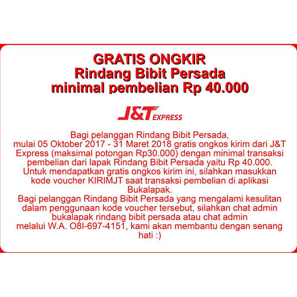 Super Bibit Buah Mangga Kiojay Thailand I Mangga Kio Jay Thailand #_#