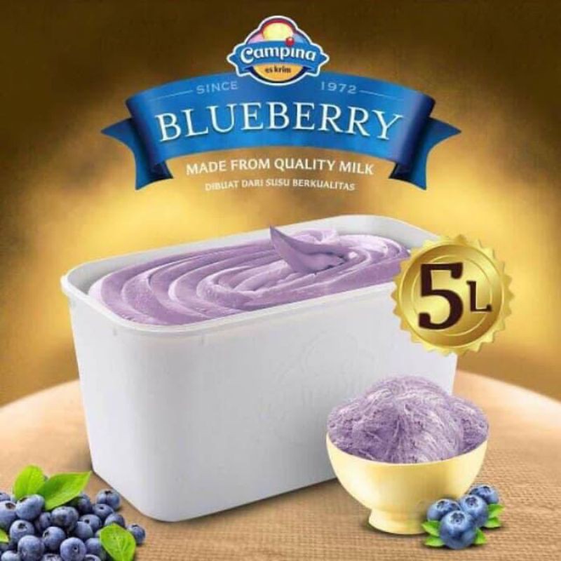 

ice cream campina rasa blueberry 5L