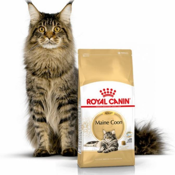 Royal Canin Mainecoon-2 Kg Rc56399