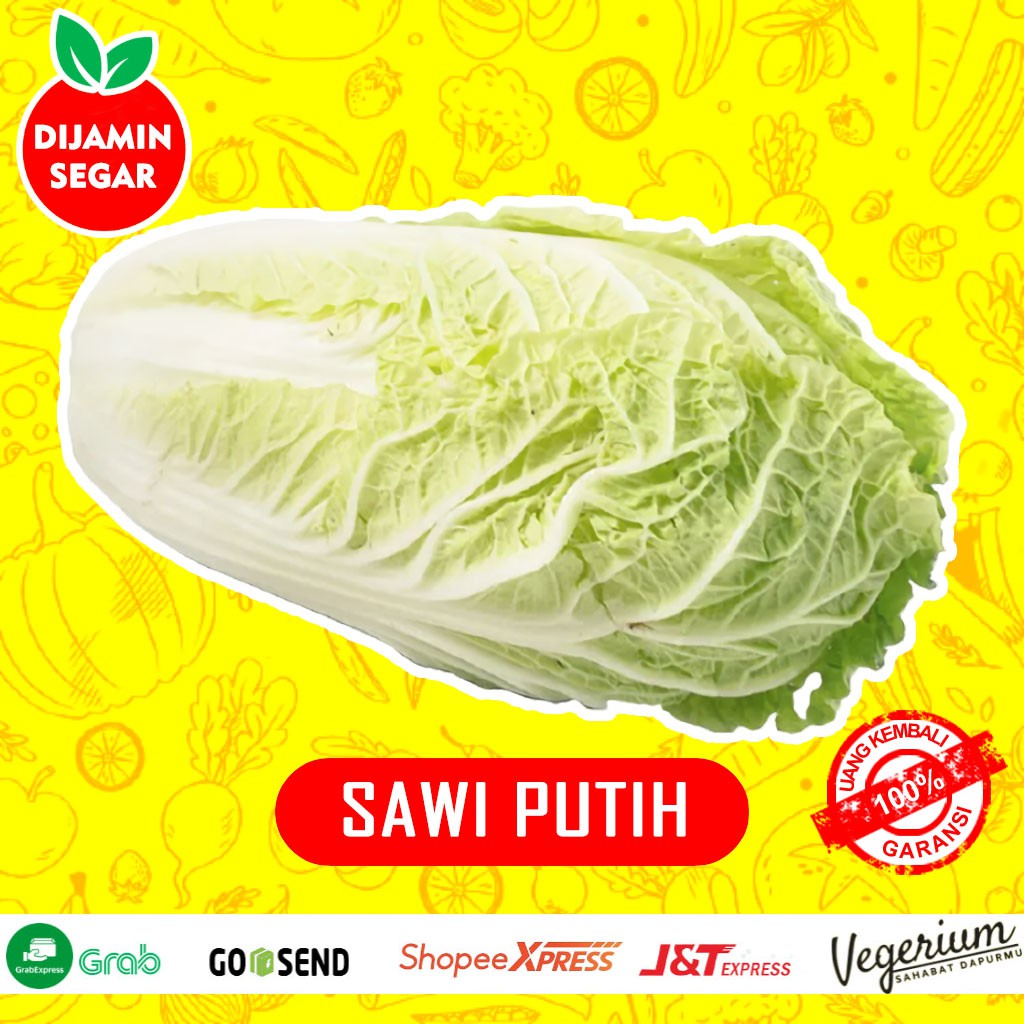 

Sayur Sawi Putih Sayuran Segar Fresh Kualitas Premium