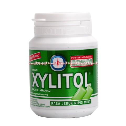 Lotte Xylitol Rasa Freshmint Stroberi Jeruk Nipis 58gr Permen karet Kaleng