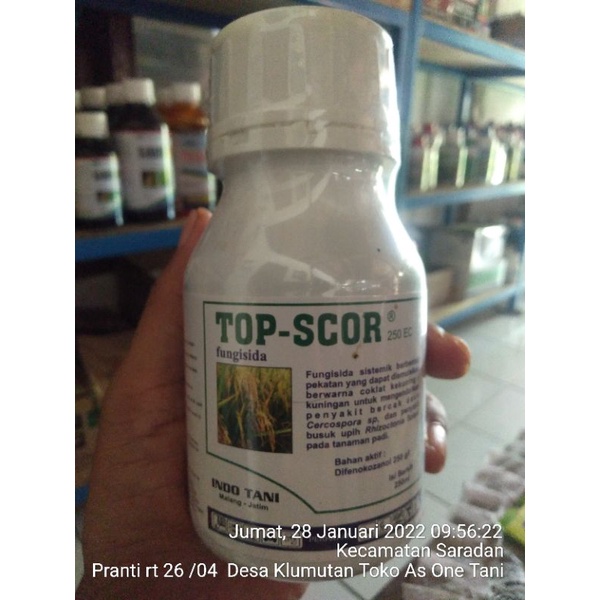 Fungisida Top Score 250 EC