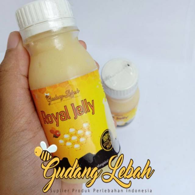 

Royal Jelly Murni Asli 100% 100 gr Banyak Khasiat