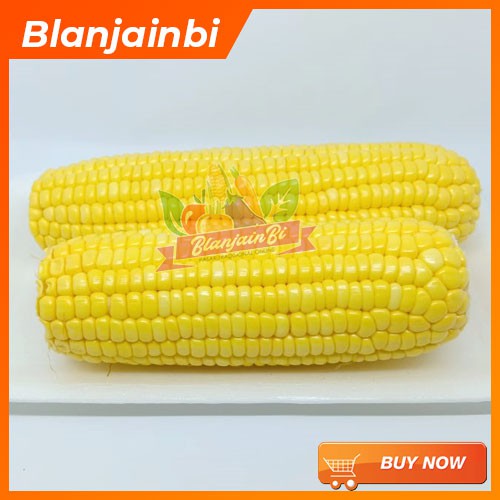 

Jagung Manis Bandung Area