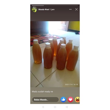 

Madu murni bunga Randu 500ml-arza store
