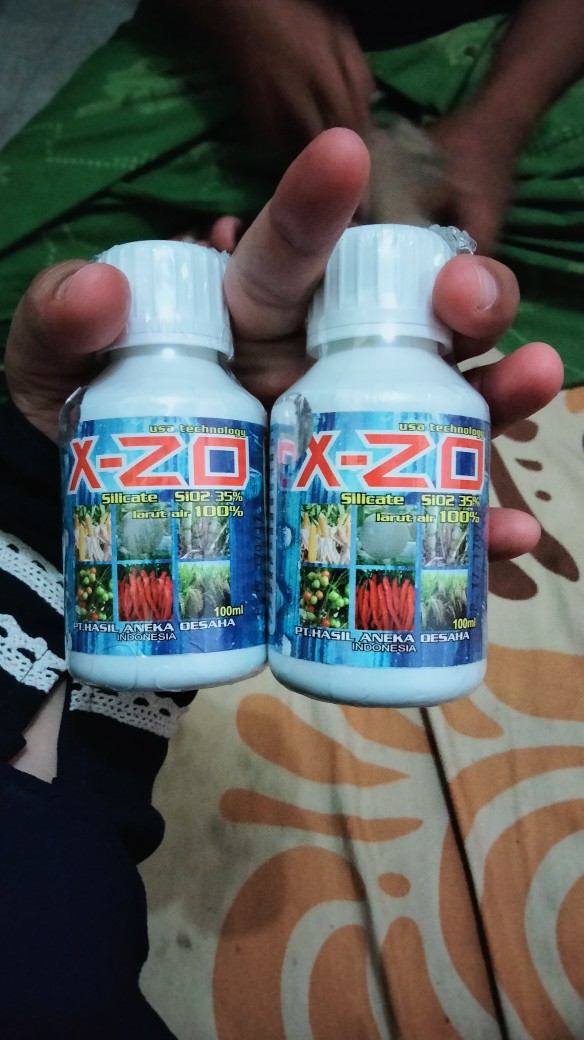 X-zo 100 Ml