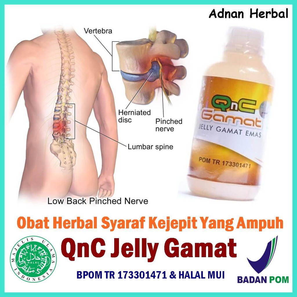 Obat Herbal Syaraf Kejepit Urat Saraf Terjepit 100 Alami Jelly Gamat Shopee Indonesia