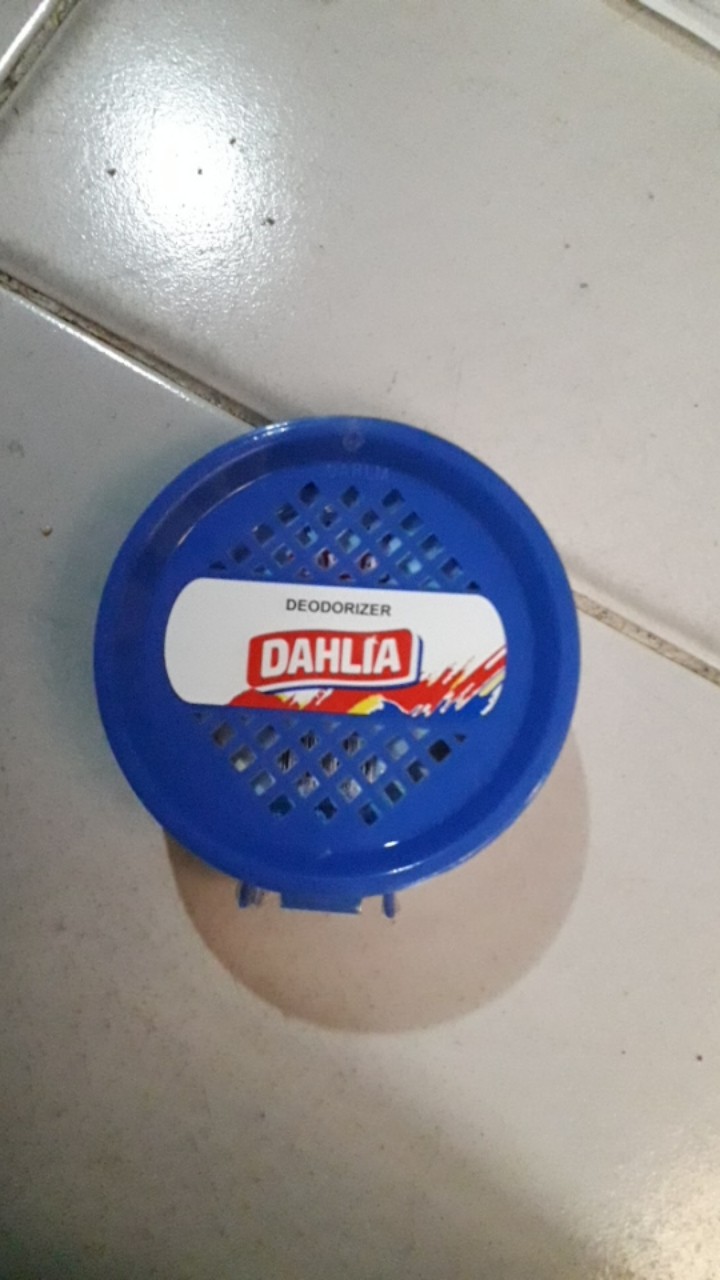 Dahlia Kamper With Case