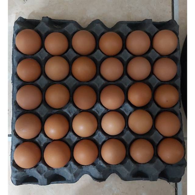 

Telur ayam negri (pr kilo)