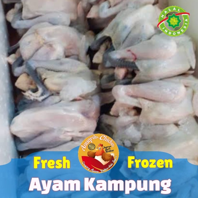 

Ayam Kampung Potong 4 Bagian Fresh Frozen 700 Gram