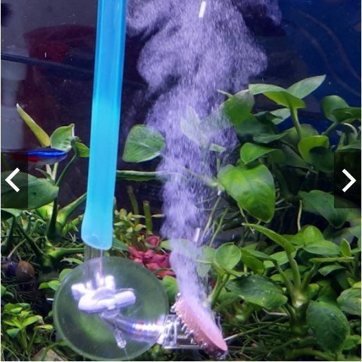 mini Co2 Diffuser / Diffuser Co2 Diy / Diffuser Co2 Aquascape difuser