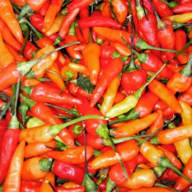 

Cabai Rawit Merah Fresh Murah