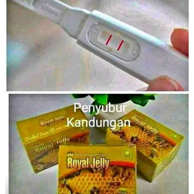 

Penyubur kandungan , Natural Royal jelly