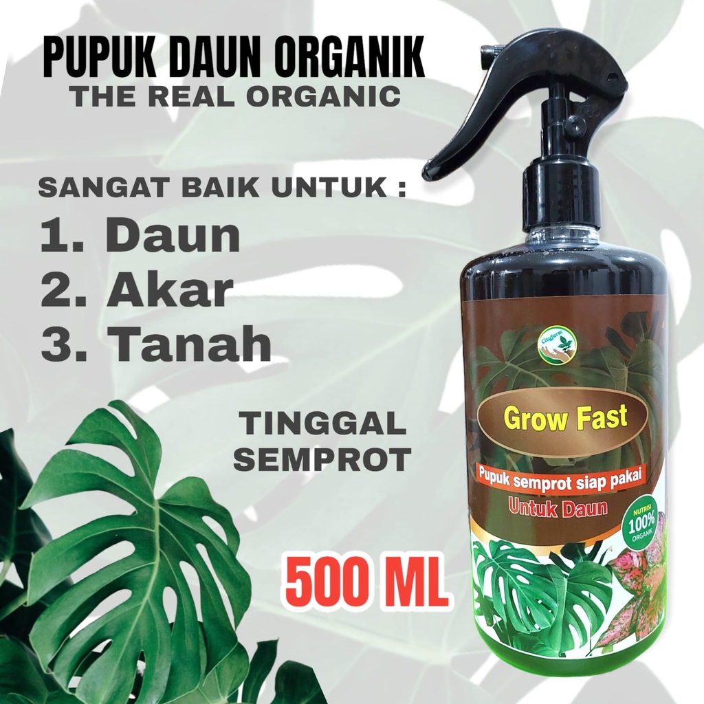 Pupuk Daun Organik Grow Fast Untuk Aglonema Dan Semua Tanaman Hias