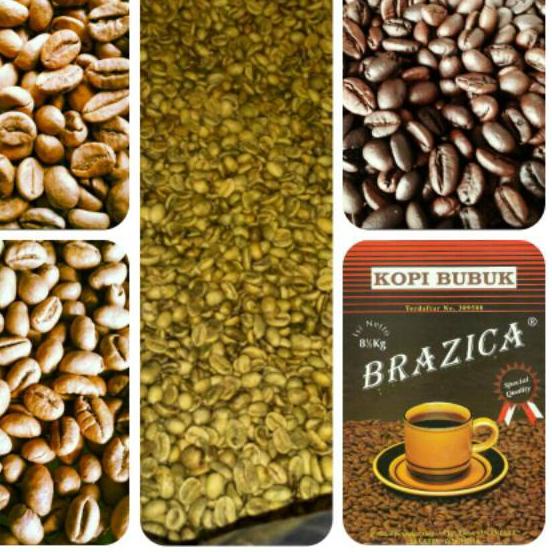 

MEN SALE Kopi Robusta Lampung "BRAZICA" 250 Gram Gold Quality (Biji / Bubuk)