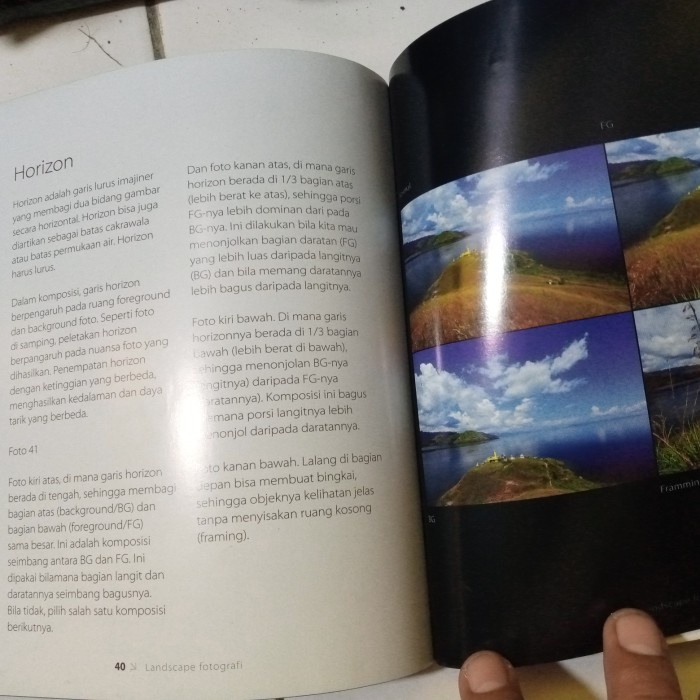 buku kiat praktis memotret landscape by Peter Chandra 67 hal