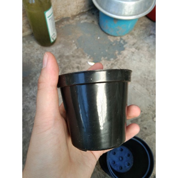 Pot kaktus sukulen 8 cm hitam | pot plastik hitam kecil