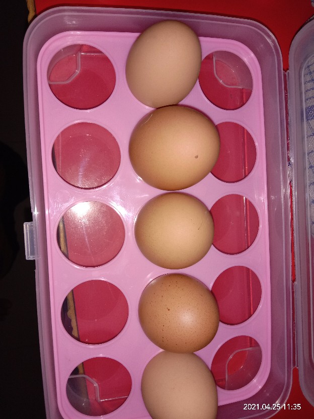 Tempat Telur 15 Lubang Dan Sekat (box Telur)