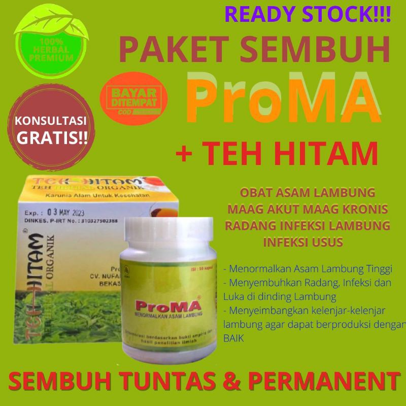 Obat Asam Lambung Maag Kronis Maag Akut Infeksi Lambung Radang Lambung Tukak Lambung Infeksi Usus Shopee Indonesia