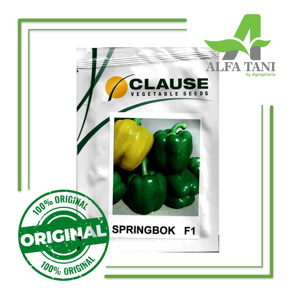 Benih Paprika Hijau Springbok F1 1.000 Seeds / Clause