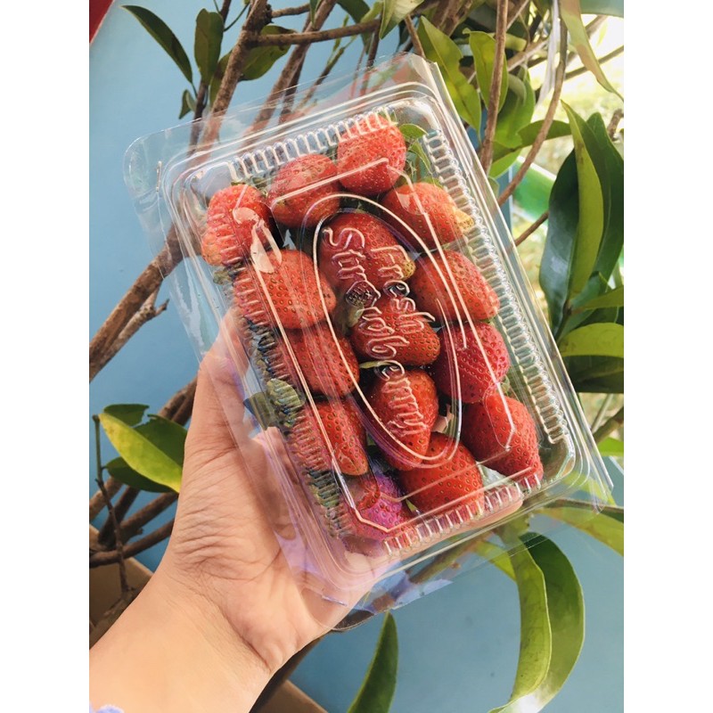 

[ KHUSUS AREA JAWA BARAT ] strawbery fresh asli ciwidey 150 gr