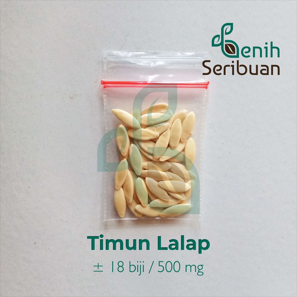 18 Benih Timun Lalap Hijau Vanesa F1 Cap Panah Merah Unggul Berkualitas Bibit Sayur Sayuran Seribuan-3