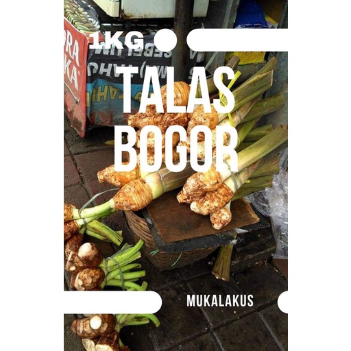 SAYUR UBI TALAS BOGOR ASLI UKURAN BESAR