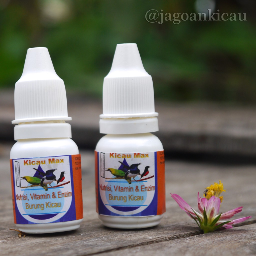 Formula Doping burung lomba Oxi Voice Oxibird Oxivoice Vitamin Antibiotik Spektrum obat serak burung-Kicau max