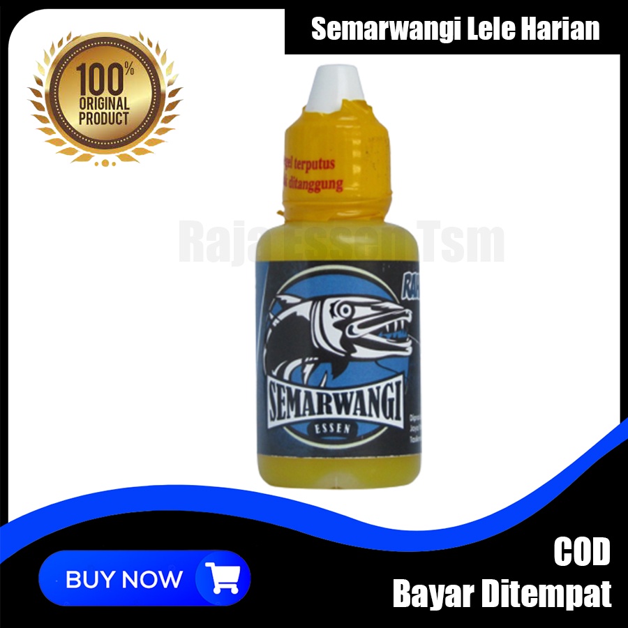 Essen Ikan Lele Kilo Gebrus Termantap | Semarwangi Essen - Essen Ikan Lele Paling Gacor - Essen Lele