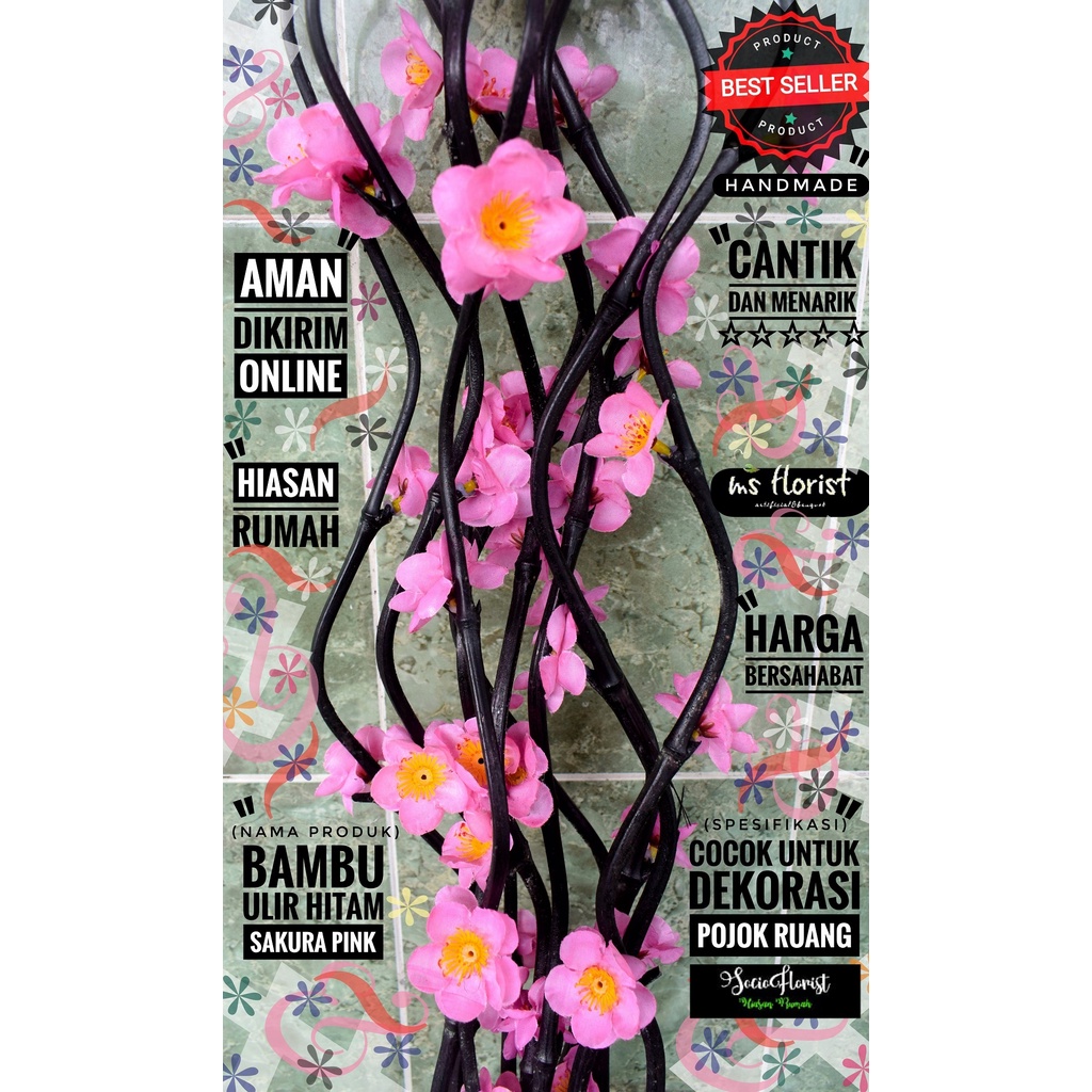 

Exclusive Bambu Ulir Hitam Sakura pink istimewa 20 batang 180cm