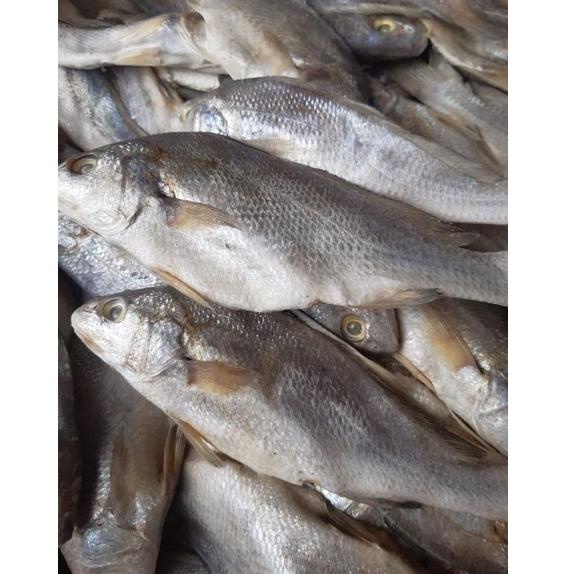 

[BNNMJ8098] Ikan Asin Sileman 500 gr