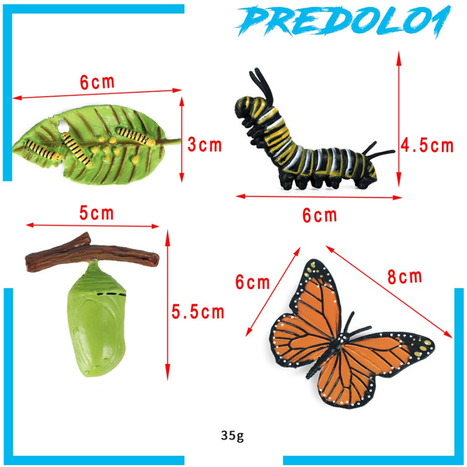 (Predolo1) Mainan Simulasi Satwa Siklus Hidup Untuk Guru/Anak) Animal Life Cycle Simulation Toys For Teachers / Children