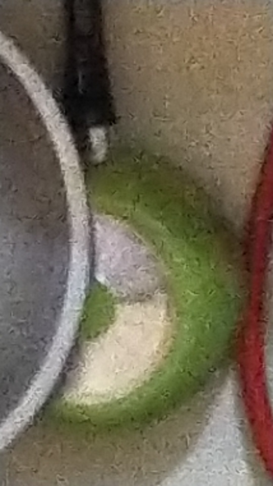 Panci Wajan Teflon Anti Lengket Tanpa Minyak Set Of 5 Kangaroo Emerald Cookware Panggang Serbaguna