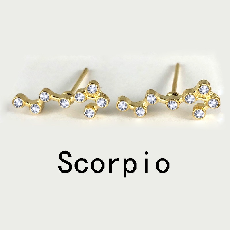 Anting Tusuk Bentuk Botol Minum Motif Zodiak Taurus Warna Goldsilver Untuk Wanita