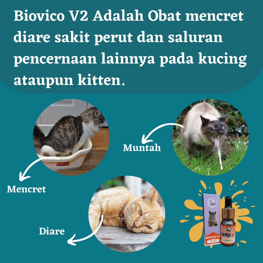 Obat Diare Mencret Kucing BIOVICO V2 Antibiotik Kitten Ampuh Atasi Muntah Pup Obat Cair BAB Masalah Pencernaan Kucing