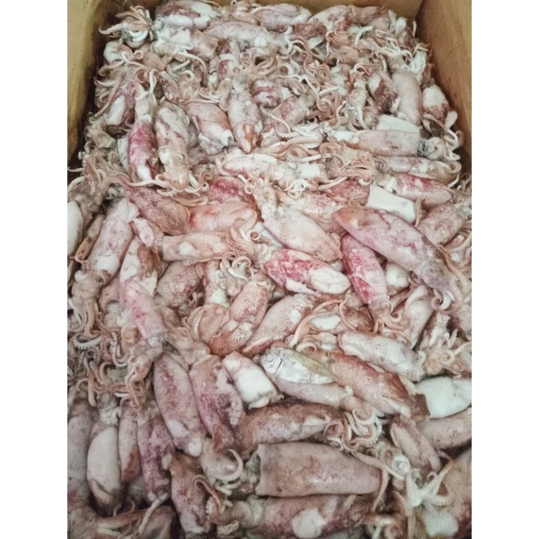 

cumi asin 1kg