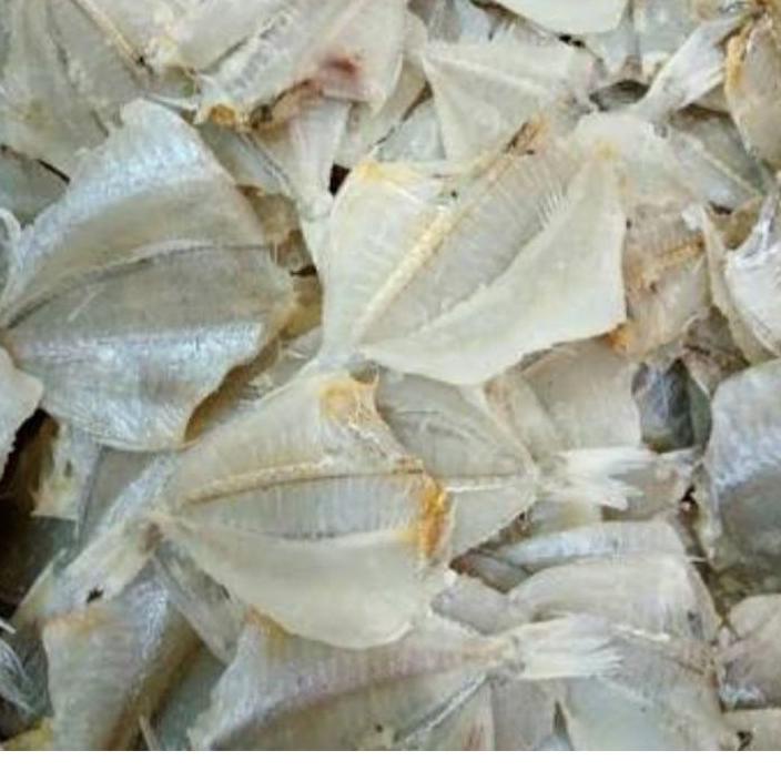 

Update! ikan asin kapasan belah 500 gram t seler