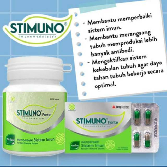 STIMUNO FORTE Bahan Herbal karya anak bangsa untuk menjaga daya taham tubuh agar tidak gampang sakit