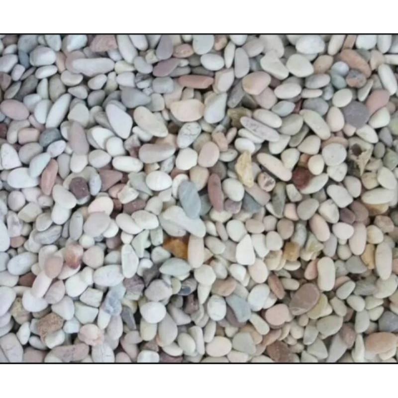 Batu hias tanaman pancawarna