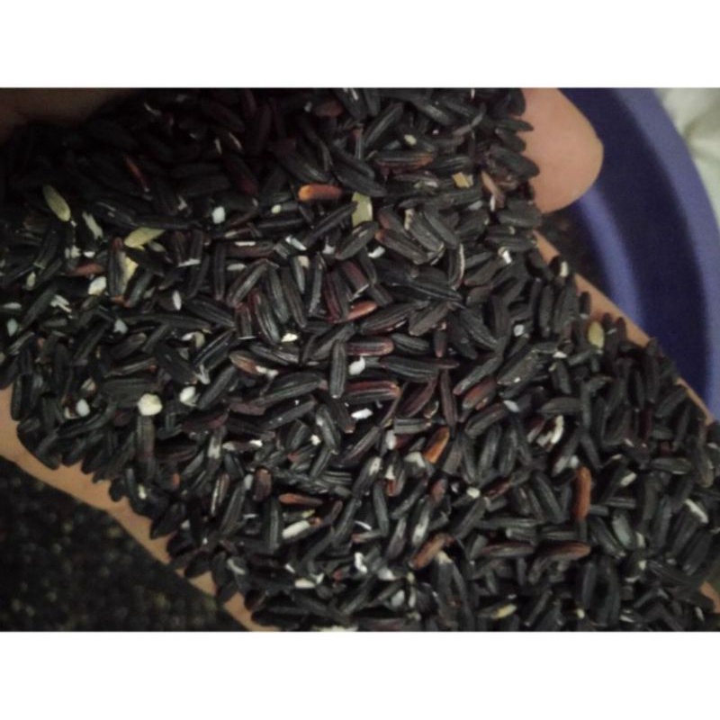

BERAS KETAN HITAM 500 gr KUALITAS BAGUS/BAHAN POKOK