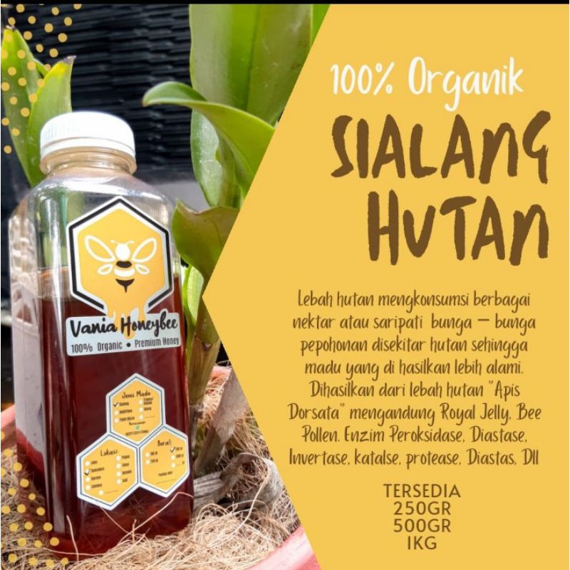 

madu sialang hutan 500 gr