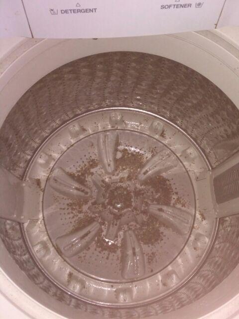 Agabang Putto Houzz Washing Machine Cleaner