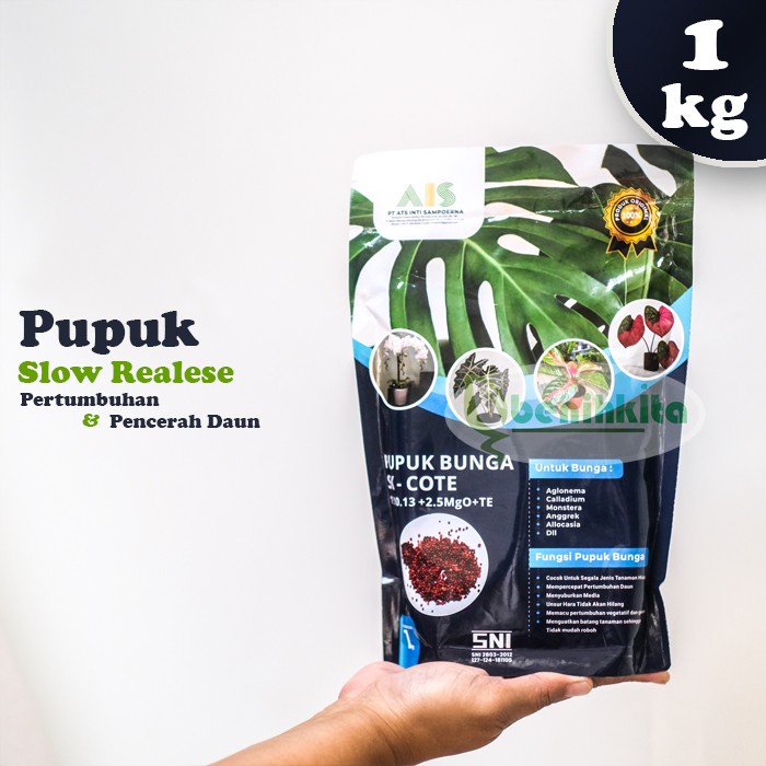 SK COTE 19-10-13 Pupuk Slow Release Duan dan Pembungaan