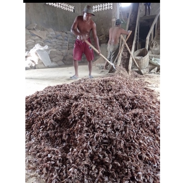 Tepung Kepala Udang Murni  kemasan 50 kg Dijamin 100 % Asli / tepung kepala udang / tku / pakan tern