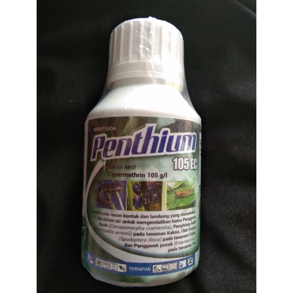 Penthiun105ec