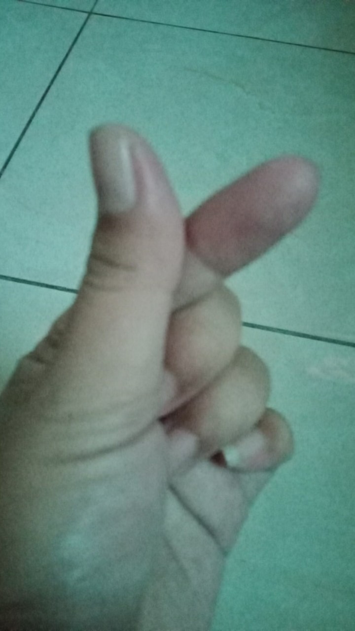 Tutup Batang Gorden / Hordeng End Cup Polos