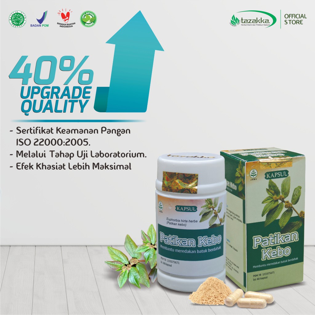 Obat Batu Berdahak | Obat Bronkitis | Obat Herbal PATIKAN KEBO Tazakka isi 60 Kapsul | HALAL BPOM