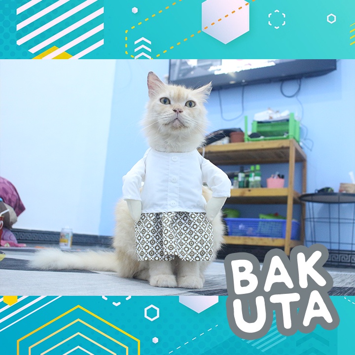 Kostum baju koko sarung lingkaran emas + Peci / baju koko kucing lebaran Terbaru size S-XL